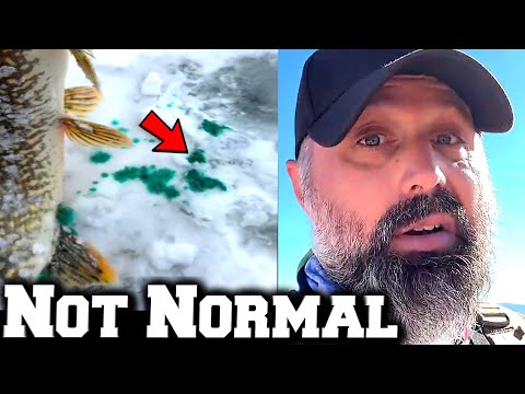 Strange Activity Being Captured All Over U.S.