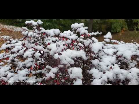 Winter Scenes from the Twin Cities - October 14, 2022