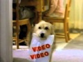 Put A Little Weekend In Your Week Rent A Video