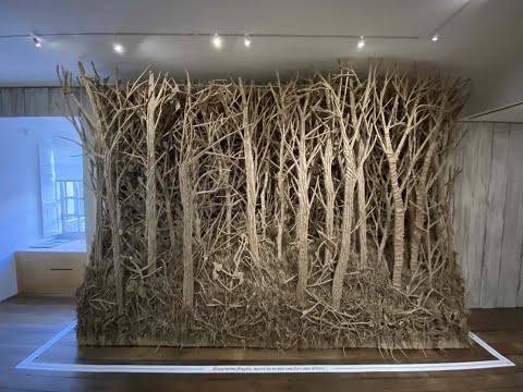 Galleria - Eva Jospin au Musée de la Chasse et de la Nature - Paris - le 11 janvier 2022