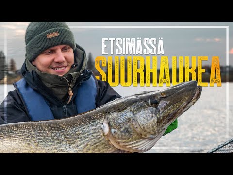 A VERY LONG PIKE [ENG SUB] – Autumn pike fishing in Finland