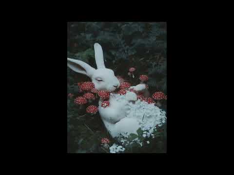 Base de Boom Bap Uso Libre "Sin Saber" Beat Hip Hop Rap Instrumental [Prod gulbie]