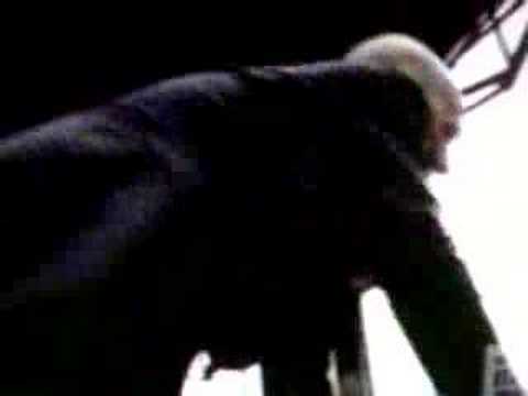 R.E.M. The One I Love (Live)