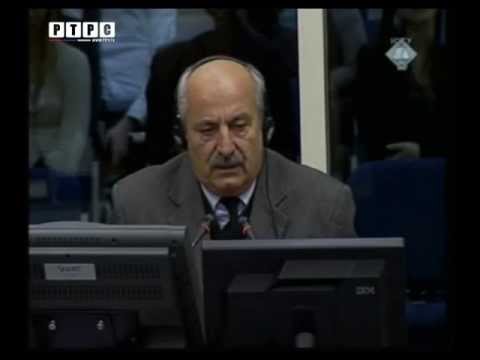 Haški tribunal-Branko Radan (svjedok odbrane Radovana Karadžića) Haag,13.12.2012