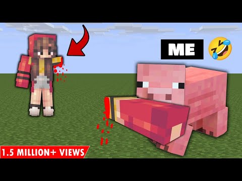 Ayush More - I TROLLED my Sister using MORPH Mod in Minecraft 😂