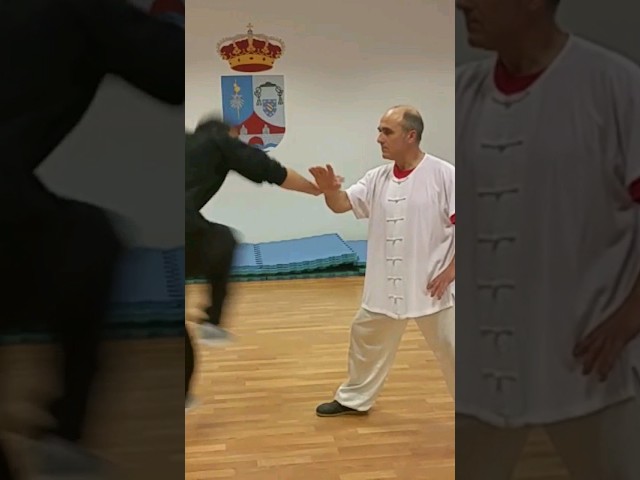 Vídeo relacionado con Zapatillas Kung Fu/Artes Marciales/Tai Chi Suela Goma Unisex Lona Blanco y Negro EU 41