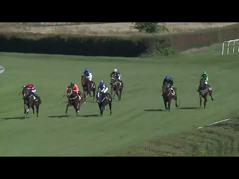 2023.08.13. 5. Futam - VÁROSBÍRÓ DÍJ (I.kat.)