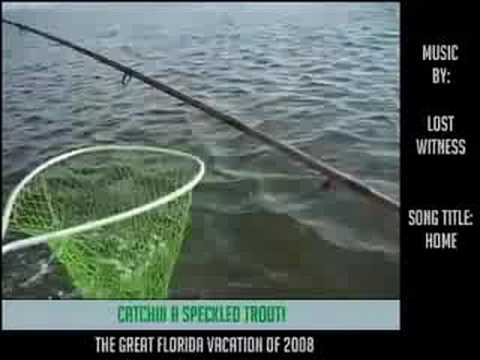 Lost Witness, Tiff Lacey: HOME, Florida Fun!