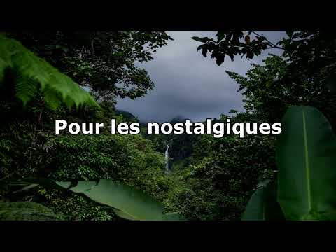 Bruits de la nuit en Guadeloupe (Relaxation, ASMR)
