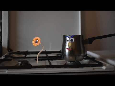 12 Anton & Norton :: Auf der Suche nach Antworten