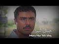 Jaan Leva Marz Hai Yeh Ishq Parizaad Status Parizaad Drama Parizaad Sad Status Parizaad Status