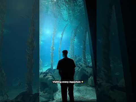 Visiting Every Aquarium in the World: A Unique Adventure