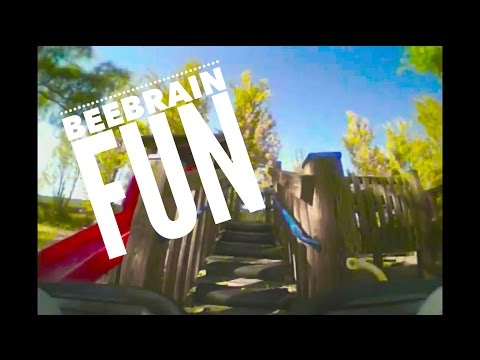 BeeBrain FPV Fun