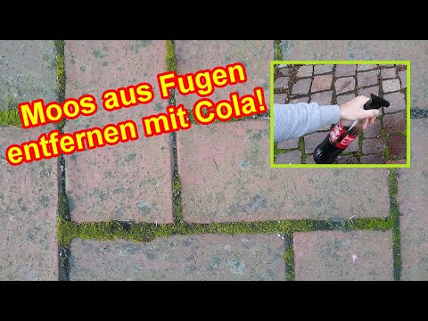 Moos aus Fugen entfernen & verhindern mit Cola  – Moos bei Pflasterfugen bekämpfen Anleitung