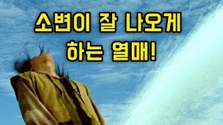 소변이 잘 나오게 하는 식물