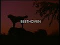 Original VHS Opening Closing Beethoven UK Retail Tape
