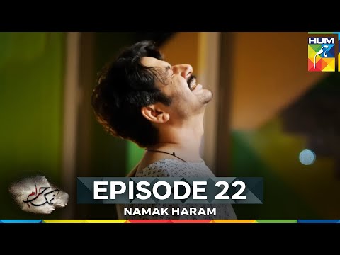 Namak Haram Episode 22
