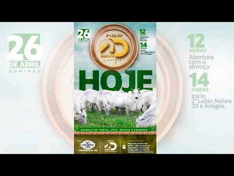 2º LEILÃO NELORE 2D E AMIGOS  - CAMPINORTE GO - 26/04/2026