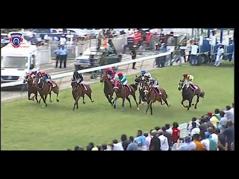 RM37 R2 | Greatfiveeight | M.Nunes