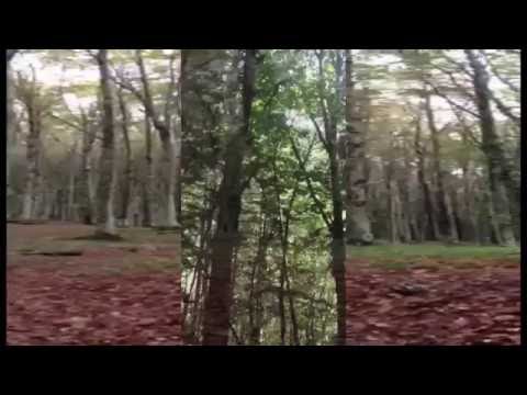 video frame placeholder