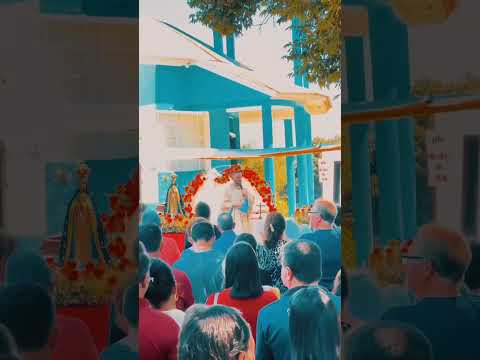 Romaria #nossa #senhora#Aparecida #homenagem