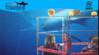 DIA 3 Expo Tiburon202