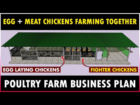 , title : 'Egg Laying Chickens and Rooster Farming Together | Poultry Farm Business Plan'