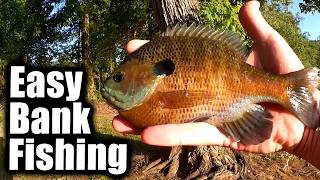 Easy Fishing Rig For Catching Big Bluegill From The Bank (Realistic)