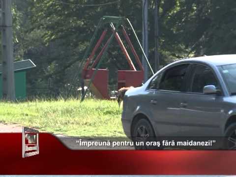 “Împreună pentru un oraş fără maidanezi!”
