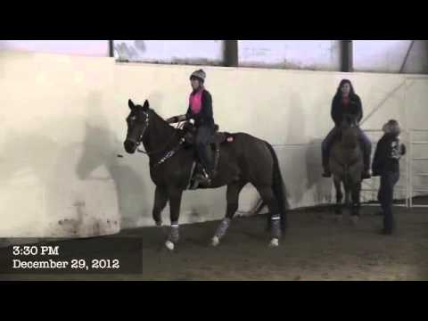 showtime arena day 1