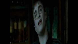 Amnesia [Harry Potter OTP]
