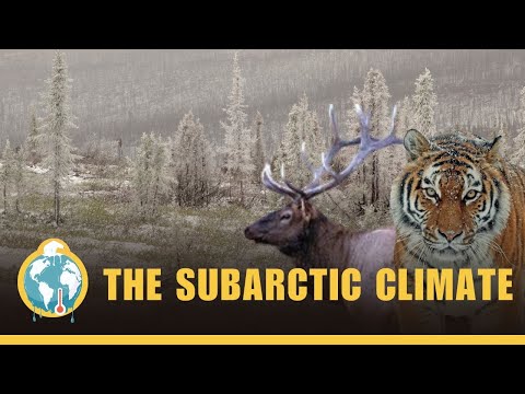 The Subarctic Climate -  Climates #4