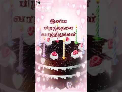 Kalai birthday song