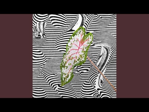 Heartbeat Won't Wait