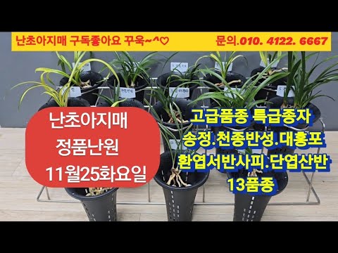 유튜브 썸네일