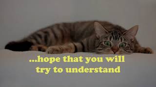 I Want You To Want Me by Solid Harmonie (Lyrics Video)