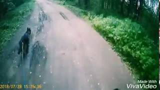 Ловля карася в синявино