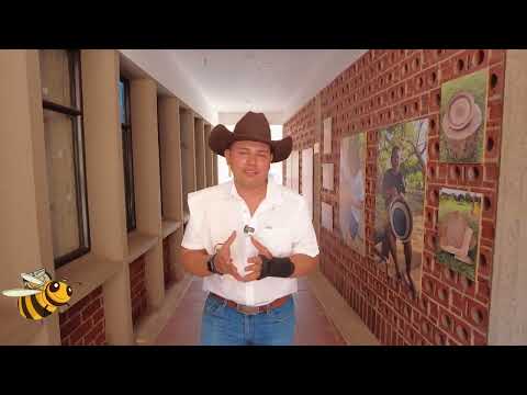 Miniatura video metodología del riesgo 2