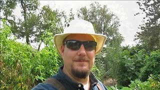 Complete Backyard Food Forest Tour (Year 5) Northern CA, Zone 9b