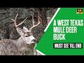 A 5X4 Muley In West Texas Mule Deer Buck Deer Muledeer Buck Antlers Texas Wildlife