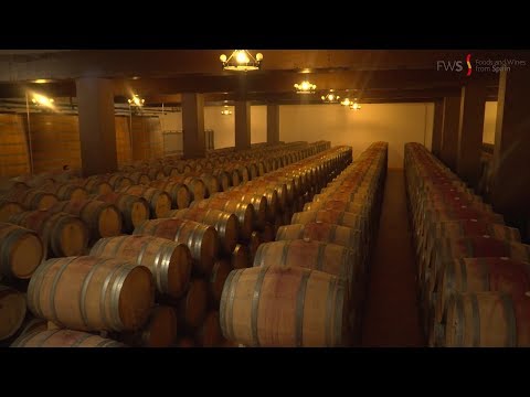 Compradores internacionais na Bodegas Fariña