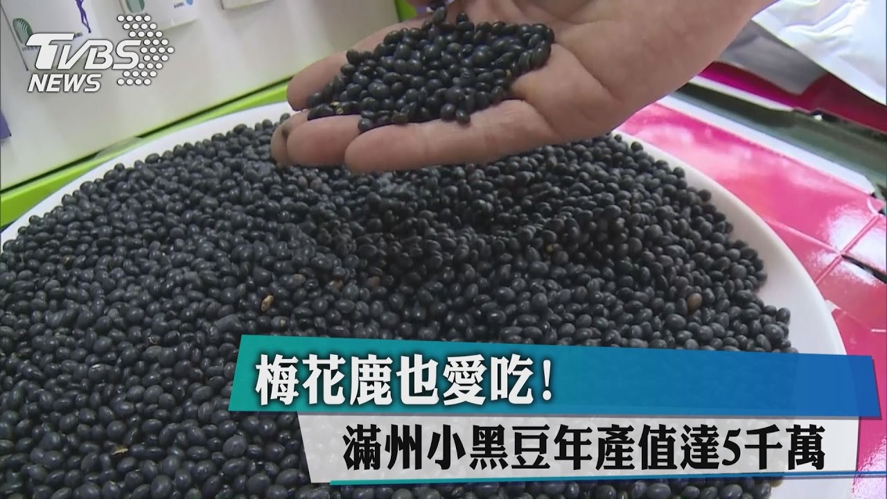 複製老鷹紅豆　梅花鹿黑豆翻身年產值5千萬