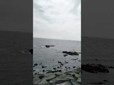 #BrightonBeach / #Beautiful day/  #melbourne