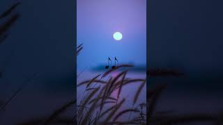 Download lagu Noah-Yang Terdalam || Story WA #noah #yangterdalam #shorts #liriklagu mp3