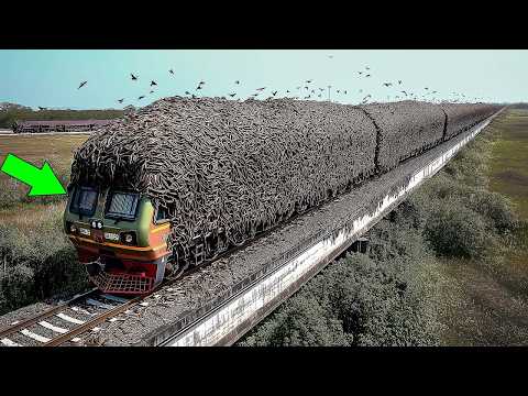 One in A Billion Moments in Nature. Incredible Rescues During Nature's Worst Moments