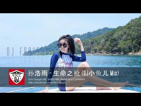 孙浩雨 - 生命之枪 (DJ小鱼儿 Mix) | Sheng ming zhi qiang