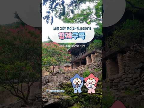 [2026새영천알림이단✨] 풍경과 영천의 역사를 살펴볼 수 있는 곳