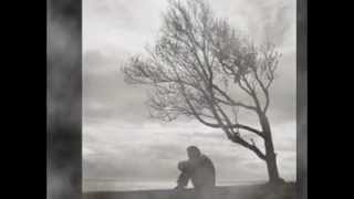 Se o amor se vai - Roberto Carlos