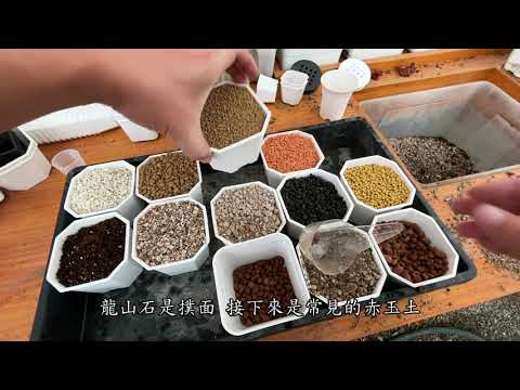 多肉介質入門課程