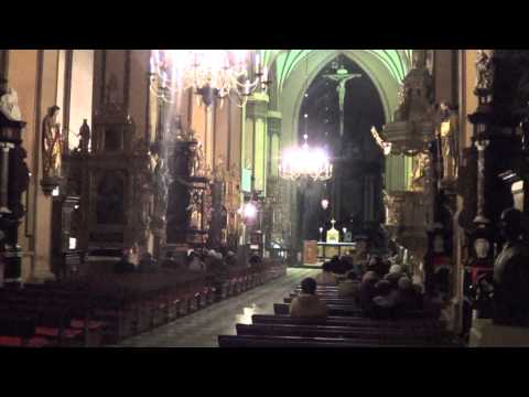 Psalm responsoryjny / aklamacja 3. Katedra Frombork